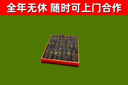 保山市回收海参